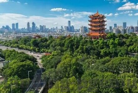 4885威尼斯人进不去了-4885威尼斯人平台访问受阻的缘由与解决途径